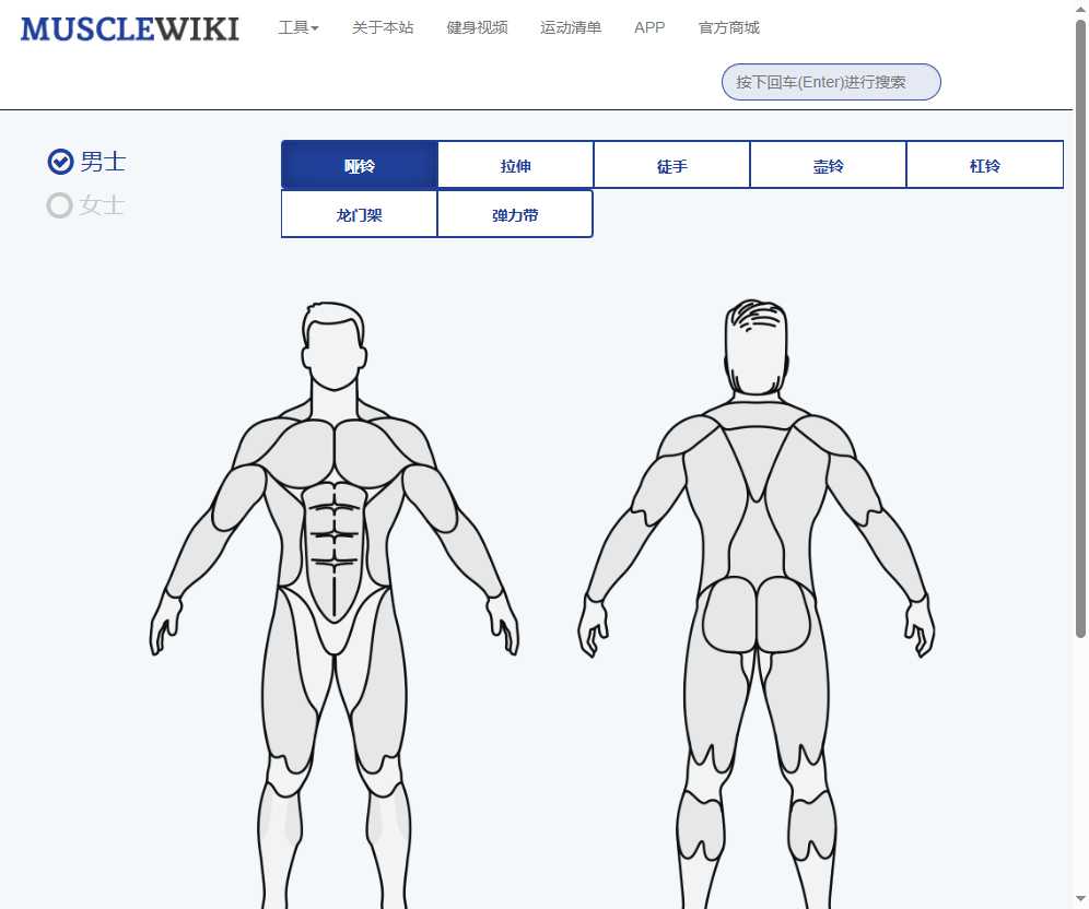 MuscleWiki 网站截图