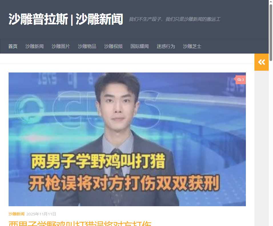 沙雕新闻 网站截图